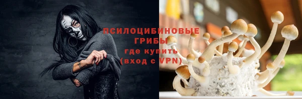 мет Алексин
