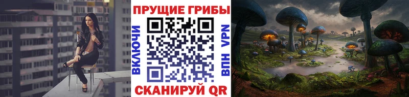 Псилоцибиновые грибы Psilocybe  где купить   Лысьва 